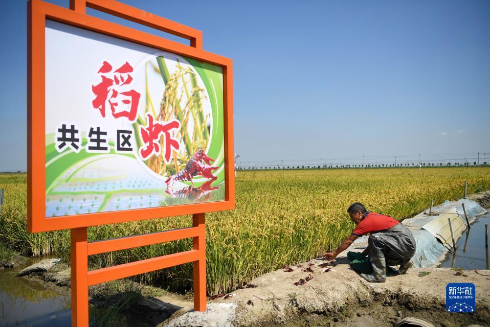 搜狗浏览器